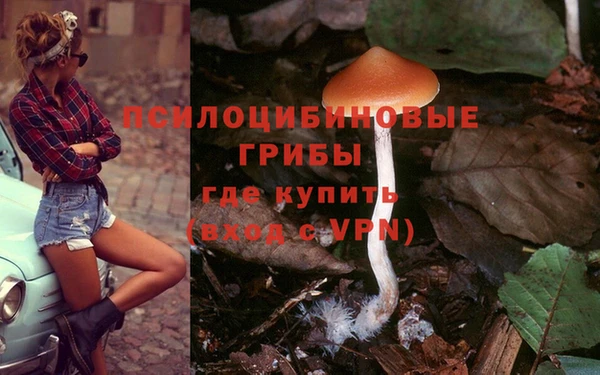 ECSTASY Аркадак