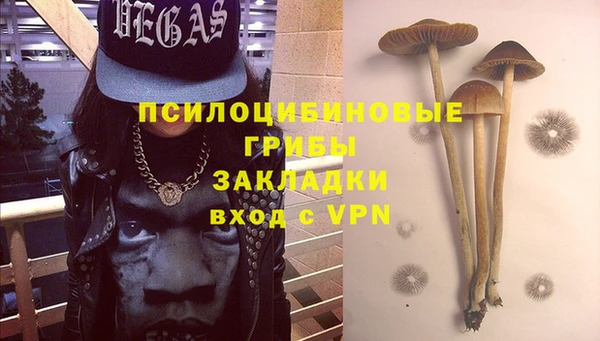 ECSTASY Аркадак