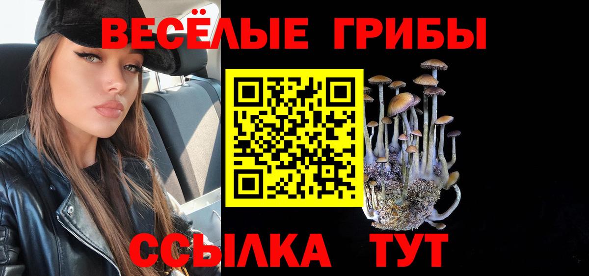 Псилоцибиновые грибы прущие грибы  Вход с VPN  продажа наркотиков  Долгопрудный  Галлюциногенные грибы Cubensis 