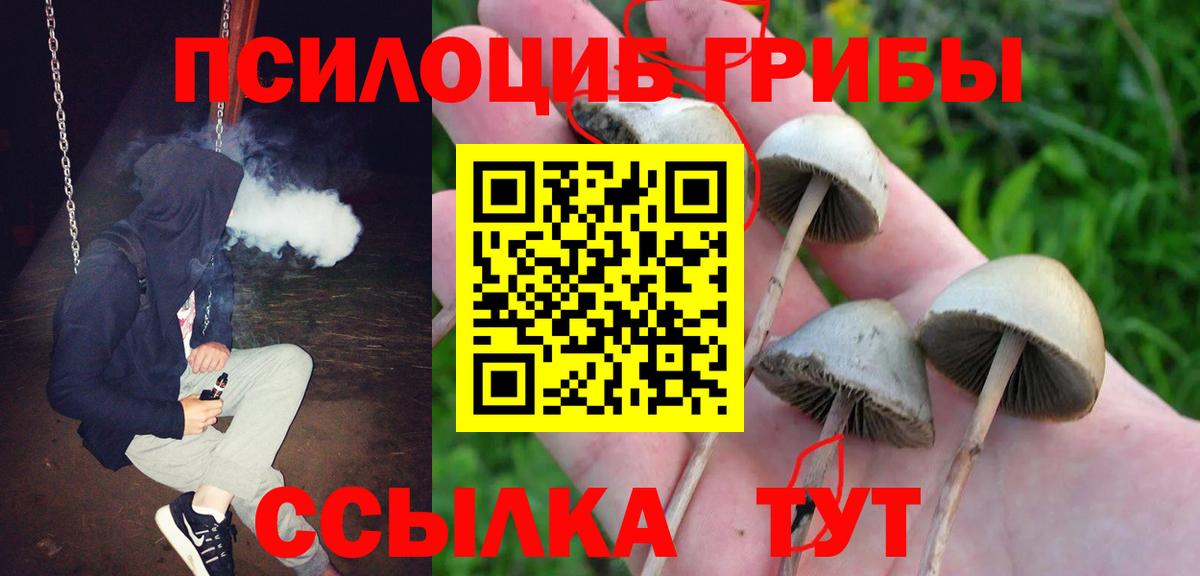 Галлюциногенные грибы Magic Shrooms Долгопрудный